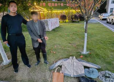 男子拉车门盗窃财物，民警八小时将其抓获 