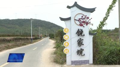 余川镇十里村：学习运用千万工程经验  全力以赴打造精品垸场