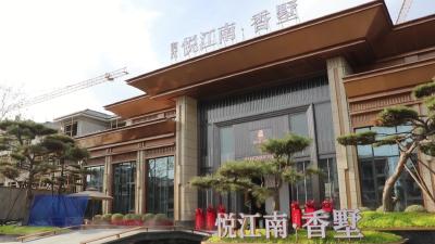 携手护税协税 共创美好家园