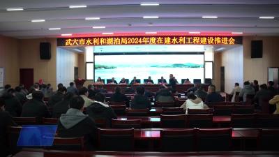 市水利和湖泊局召开2024年在建水利工程建设推进会