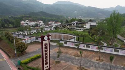 余川镇徐冲村：昔日重点贫困村，如今乡村振兴示范村  