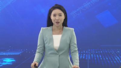 森林王国项目建设加速推进