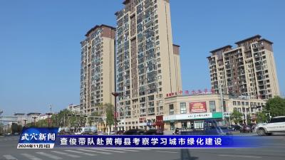 看大戏 吃大餐 花桥镇刘六西村老人节活动热闹非凡