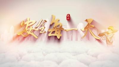 《安全每一天》大金镇：狠抓安全工作落实　保障经济社会发展