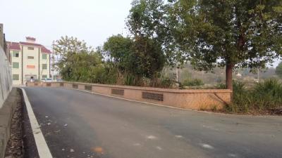 四望镇何桥村：提升村容村貌 共建和美乡村  