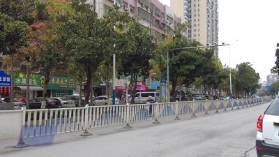 市园林事业发展中心：冬季修剪正当时 扮靓城市新颜值