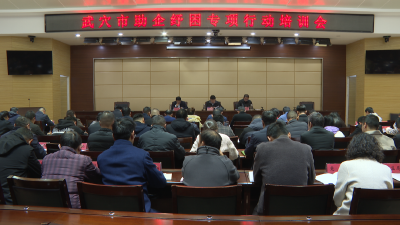 武穴市召开助企纾困专项行动培训会 