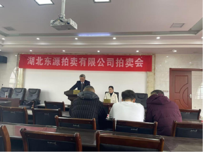 总成交额超5亿元！武穴市2024年土地拍卖完美收官  