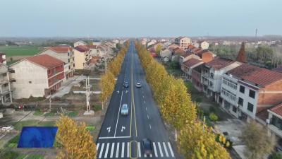 G347龙坪段改造工程主路面建设基本完成