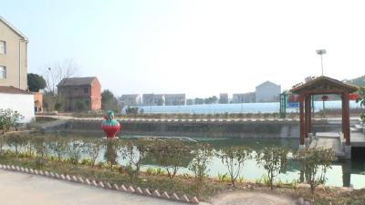【幸福港城·实事办好】石佛寺镇蔡启常村：“千万工程”建设刷新乡村“颜值”  