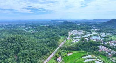 路旅融合发展经验获肯定！武穴在这个省级会议上作交流发言  