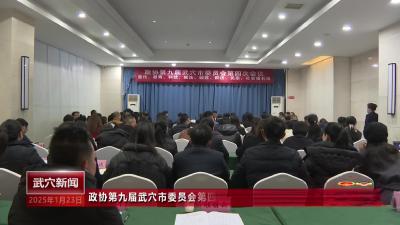 政协第九届武穴市委员会第四次会议开展联组讨论