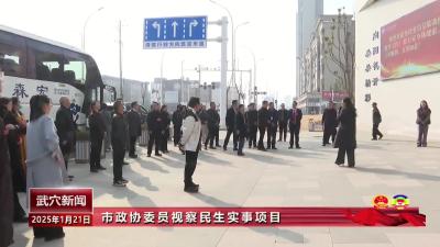 市政协委员视察民生实事项目
