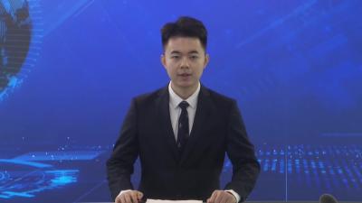 市委九届八次全会开展分组讨论