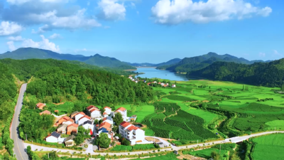 人大代表看变化丨我市创建省级旅游名镇工作成效显著