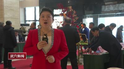 政协委员今日报到  武穴进入“两会时间”