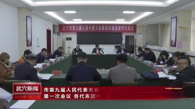 市第九届人民代表大会第四次会议各代表团第一次会议、各代表团中共党员代表会议召开