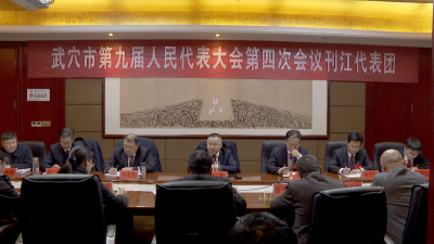 【聚焦两会】查俊参加市九届人大四次会议刊江代表团审议 