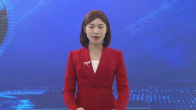 人大代表开展分团分组讨论：建言献策聚共识 凝心聚力促发展