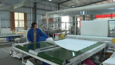 政协委员风采丨陈晓绿：爱岗敬业促发展 履职尽责展风采 