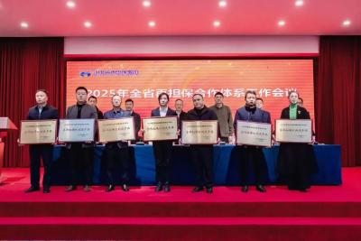 喜讯！武穴中小担保公司荣获省级2024年度表彰  