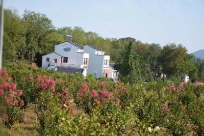 安陆雷公镇:奋力擘画乡村振兴好图景 