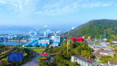 武穴：政策六条助力全市工业经济“开门红”（一）