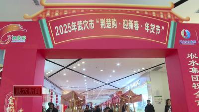 年货购物节启动 线上线下助力全市消费市场“开门红”
