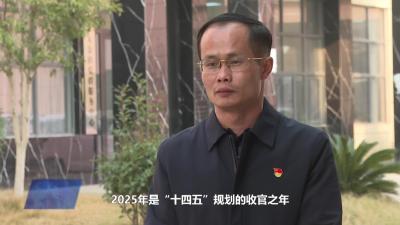 大金镇：征程万里风正劲 奋楫笃行谱新篇