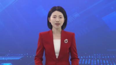 市九届人大四次会议代表继续开展分团审议