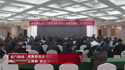 胡昊参加政协第九届武穴市委员会第四次会议工商联、农业农村组联组讨论
