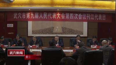 查俊参加市九届人大四次会议刊江代表团审议