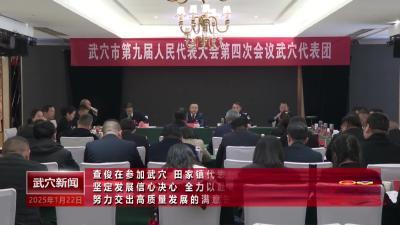 查俊在参加武穴、田家镇代表团分组讨论时强调：坚定发展信心决心 全力以赴真抓实干 努力交出高质量发展的满意答卷