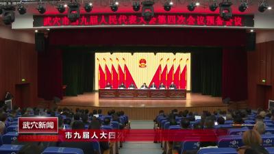 市九届人大四次会议举行预备会议