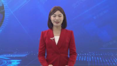人大代表采访 审议报告  畅谈心声