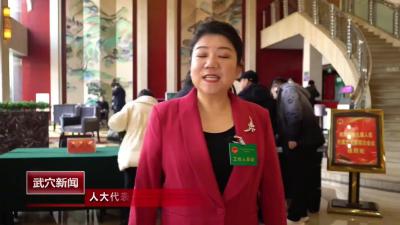 人大代表今日报到  履职尽责为民"代言"