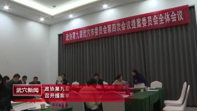 政协第九届武穴市委员会第四次会议召开提案审查委员会会议