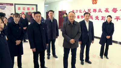 省高级人民法院党组书记、院长游劝荣来武穴调研基层法院工作 