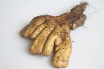 【网络中国节·春节】全是家的味道！武穴游子们，后备箱还塞得下吗？ 
