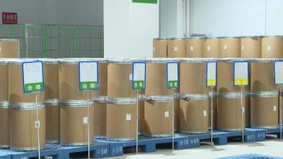 【聚力建支点 夺取开门红】龙翔药业：开足马力忙生产 奋力夺取“开门红”