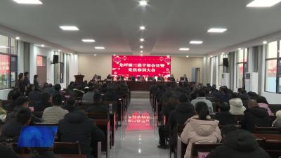龙坪镇：聚焦“五年” 打造“三镇”