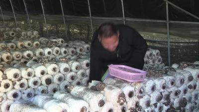 武穴街道：严控源头监管  守护舌尖安全