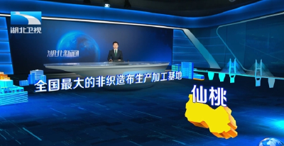 仙桃市委书记孙道军：奋勇争先 跳起摘桃 在支点建设中勇当排头兵
