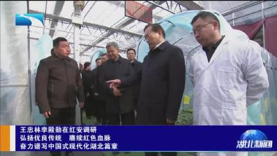 省委书记新年调研的一站，为何选择红安这个科技小院？