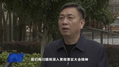 梅川镇：只争朝夕 干在当前 扛起大镇重镇和市域副中心大旗