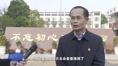 大金镇：强化政治监督 在全面从严治党上持续发力
