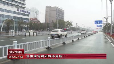 查俊现场调研城市更新工作
