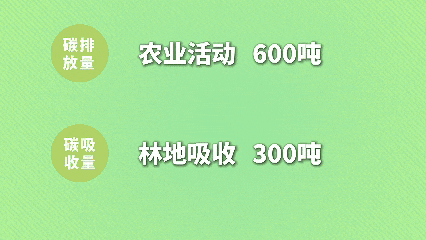 零碳新风+黄茶产业+和美乡村：解码新城振兴三重奏 