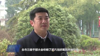 石佛寺访谈：深化“三新”实践 勇立发展潮头