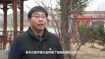 四望镇：全面推进乡村振兴  加快建设和美新四望